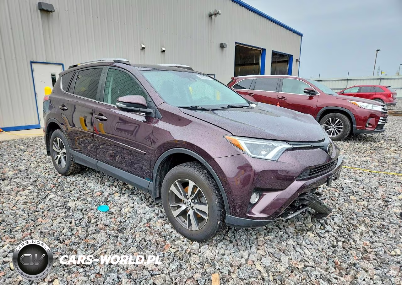 2017 Toyota Rav4 Xle VIN:2T3RFREV5HW644910 - 4