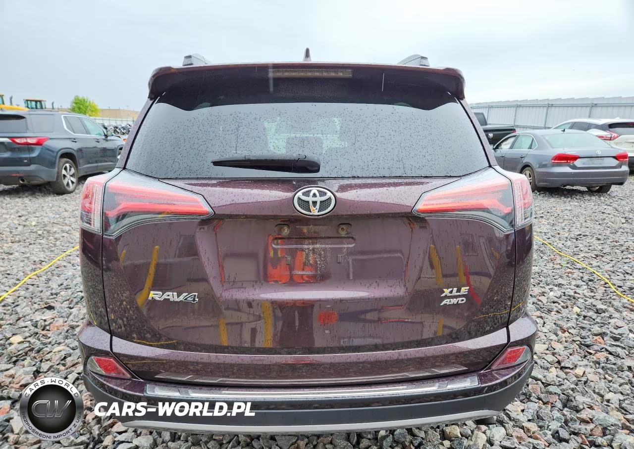 2017 Toyota Rav4 Xle VIN:2T3RFREV5HW644910 - 6