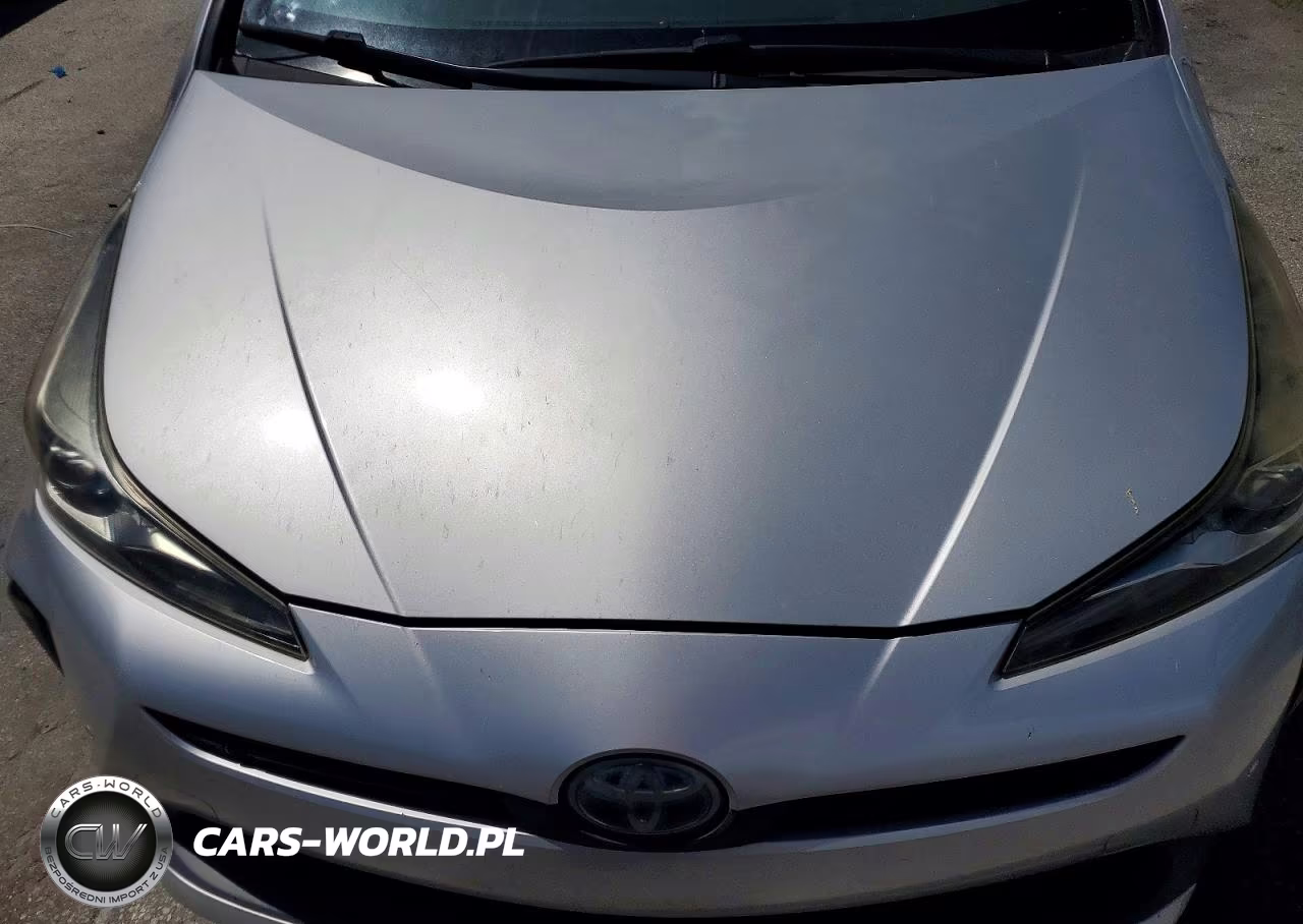 2019 Toyota Prius Le VIN:JTDKARFU3K3078228 - 11