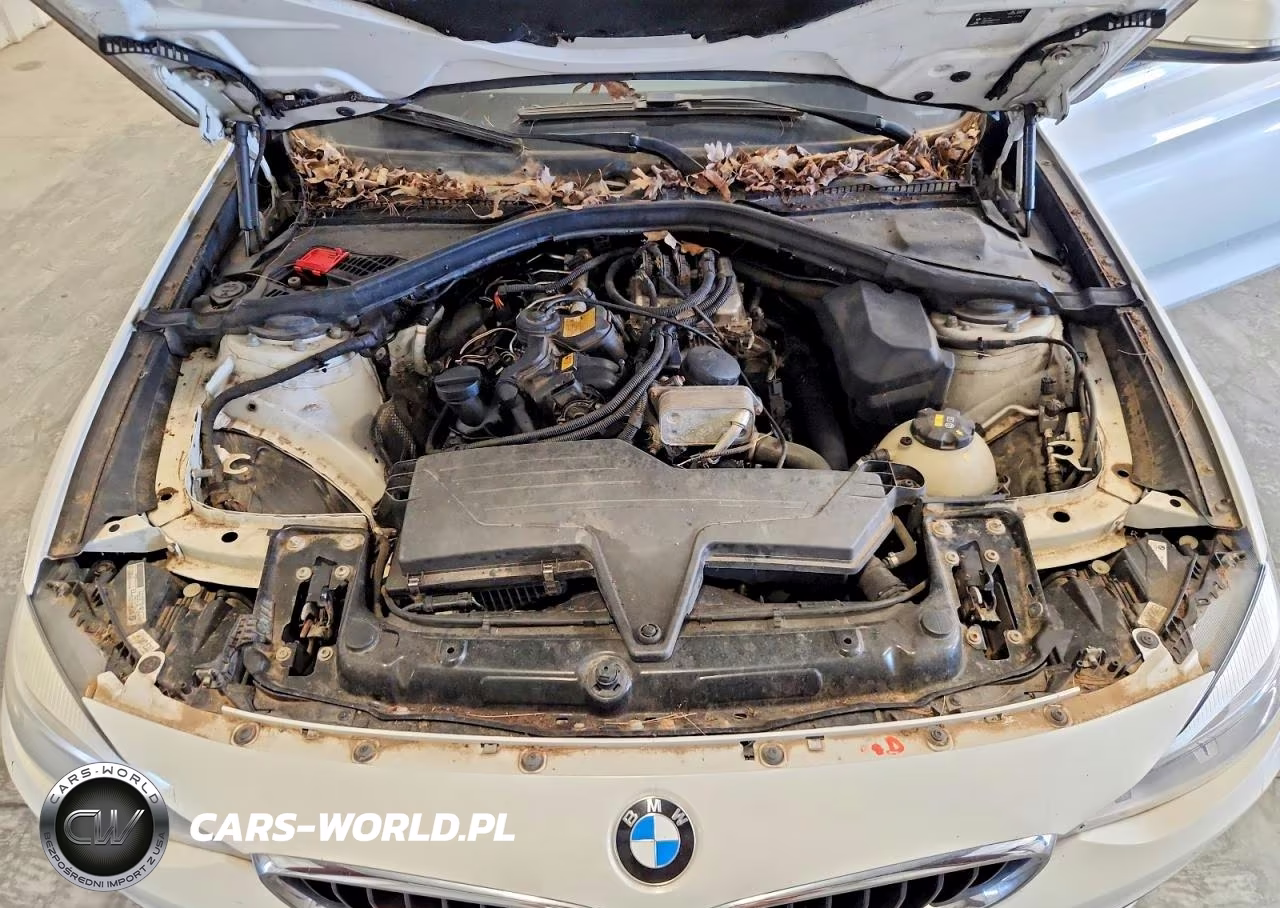 2016 BMW 328 Xigt Sulev VIN:WBA8Z5C50GG501949 - 11