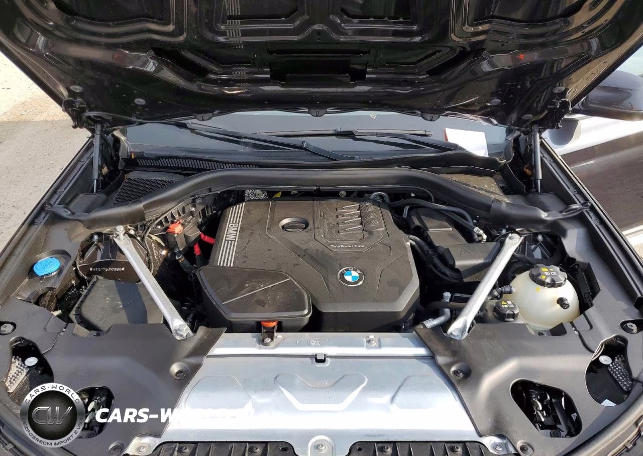 2023 BMW X3 xDrive30I VIN:WBX57DP04PN218585 - 12