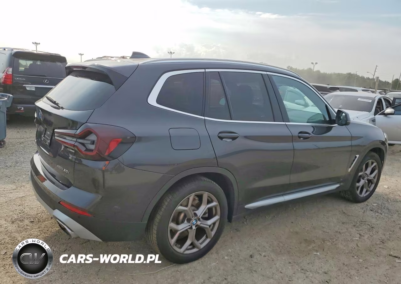 2023 BMW X3 xDrive30I VIN:WBX57DP04PN218585 - 3