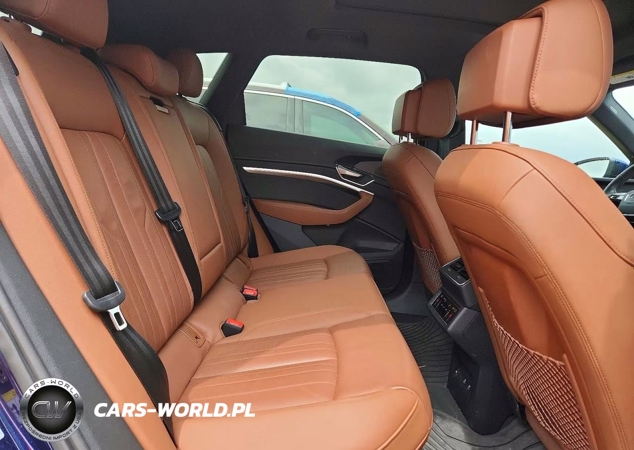 2022 Audi E-Tron Premium VIN:WA1AAAGE0NB034681 - 10