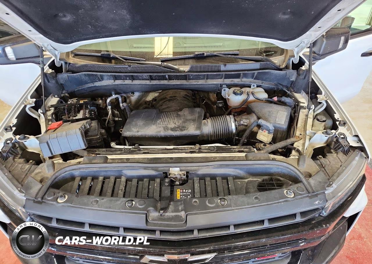2019 Chevrolet Silverado K1500 Lt Trail Boss VIN:3GCPYFED8KG232916 - 11