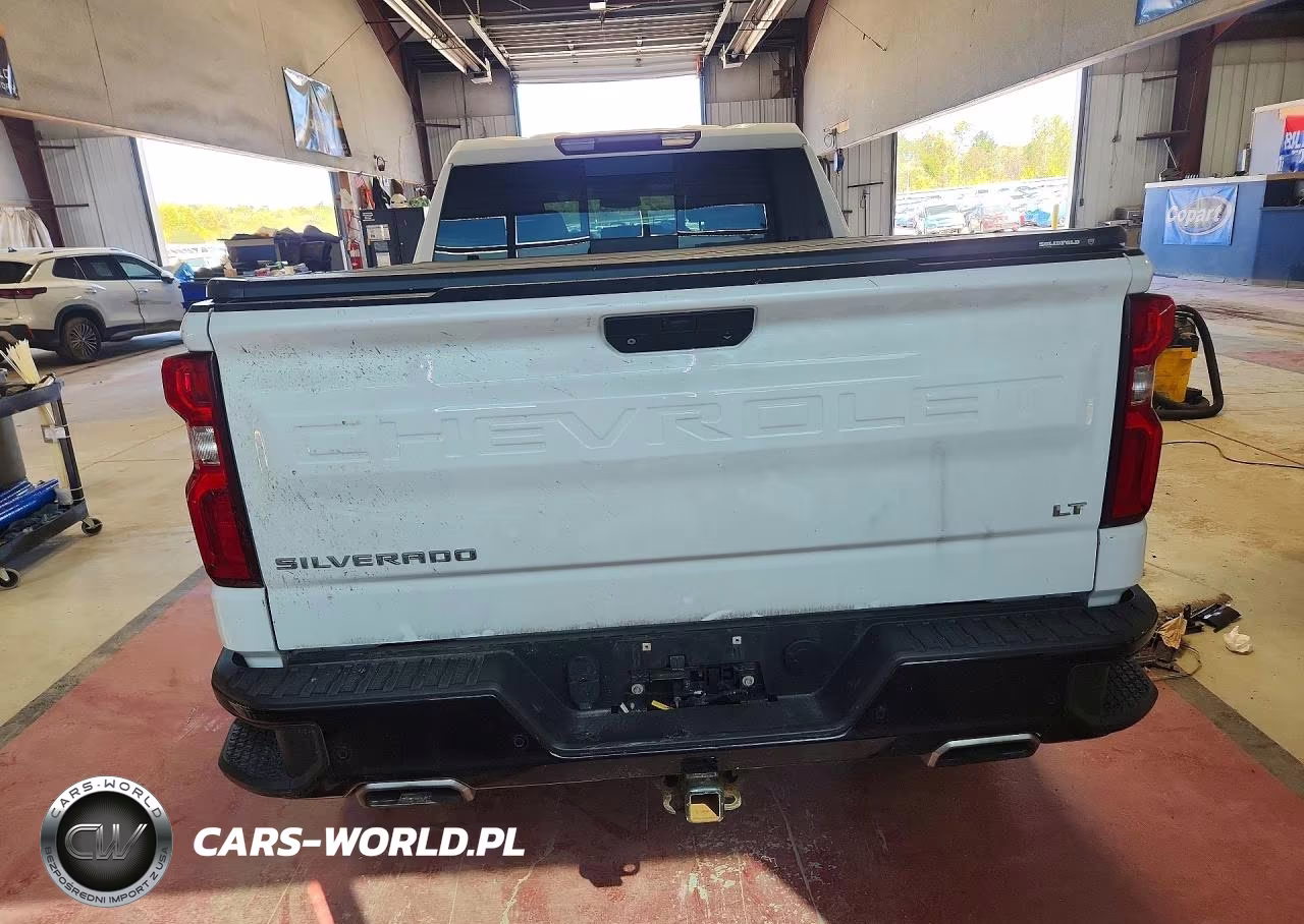 2019 Chevrolet Silverado K1500 Lt Trail Boss VIN:3GCPYFED8KG232916 - 6