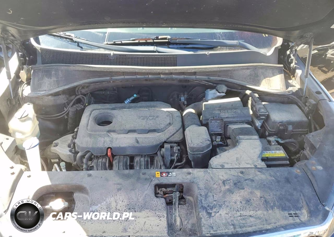 2017 Kia Sorento Lx VIN:5XYPGDA30HG200165 - 12