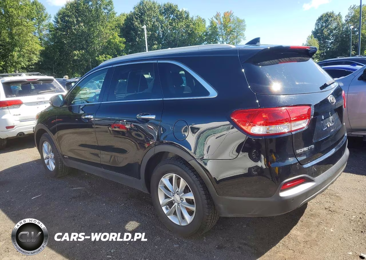 2017 Kia Sorento Lx VIN:5XYPGDA30HG200165 - 2