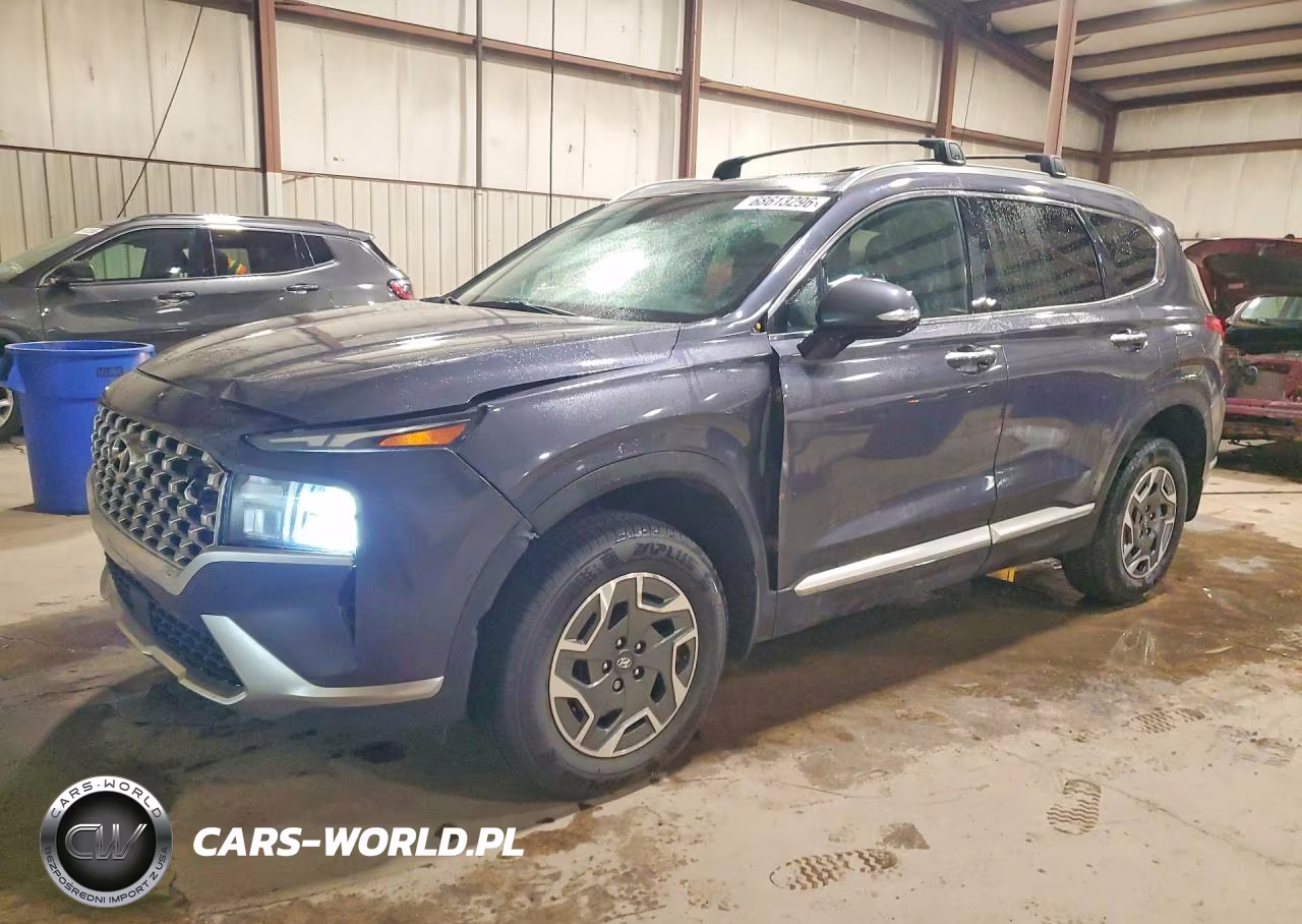 2021 Hyundai Santa Fe Blue VIN:KM8S2DA16MU013282 - 1