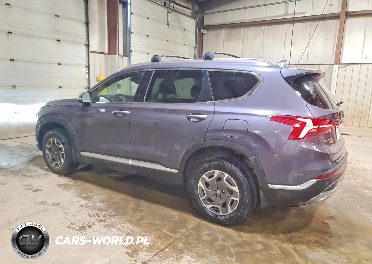 2021 Hyundai Santa Fe Blue VIN:KM8S2DA16MU013282 - 2