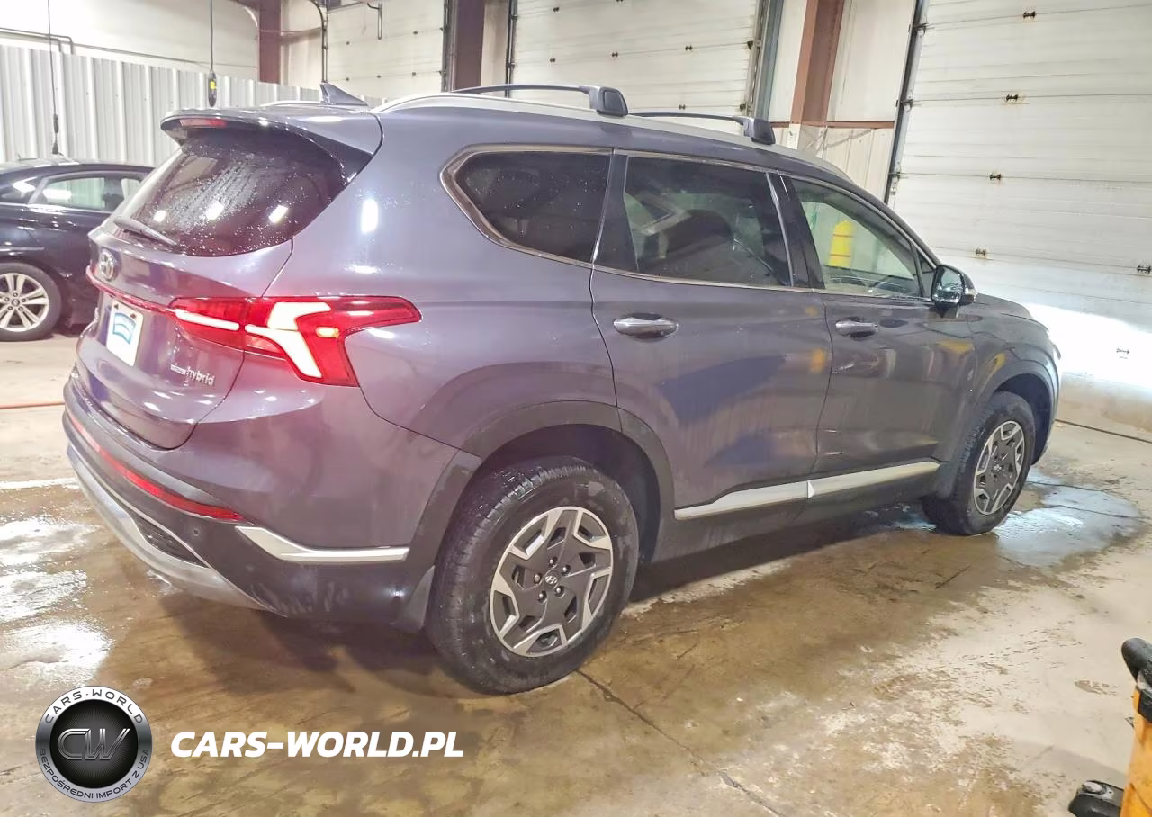 2021 Hyundai Santa Fe Blue VIN:KM8S2DA16MU013282 - 3