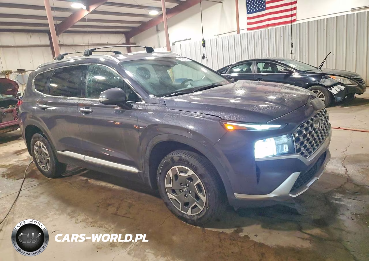 2021 Hyundai Santa Fe Blue VIN:KM8S2DA16MU013282 - 4