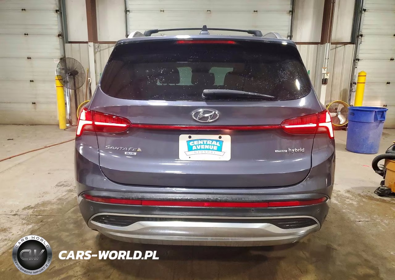2021 Hyundai Santa Fe Blue VIN:KM8S2DA16MU013282 - 6