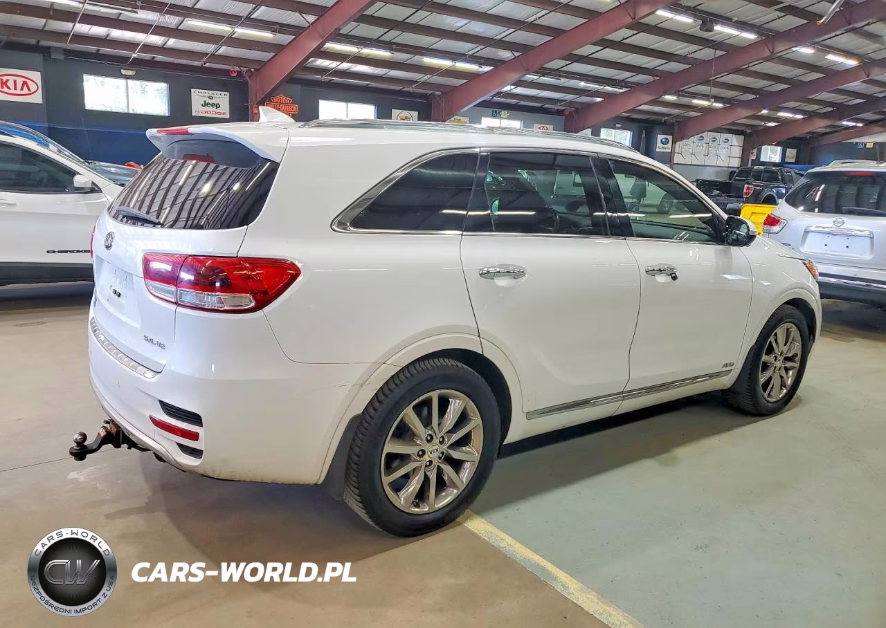 2017 Kia Sorento Sx Limited V6 VIN:5XYPKDA59HG246111 - 3