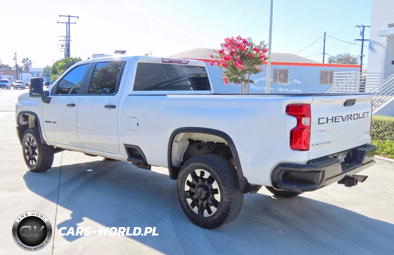 2020 Chevrolet Silverado C2500 Custom VIN:1GC4WME72LF287940 - 4