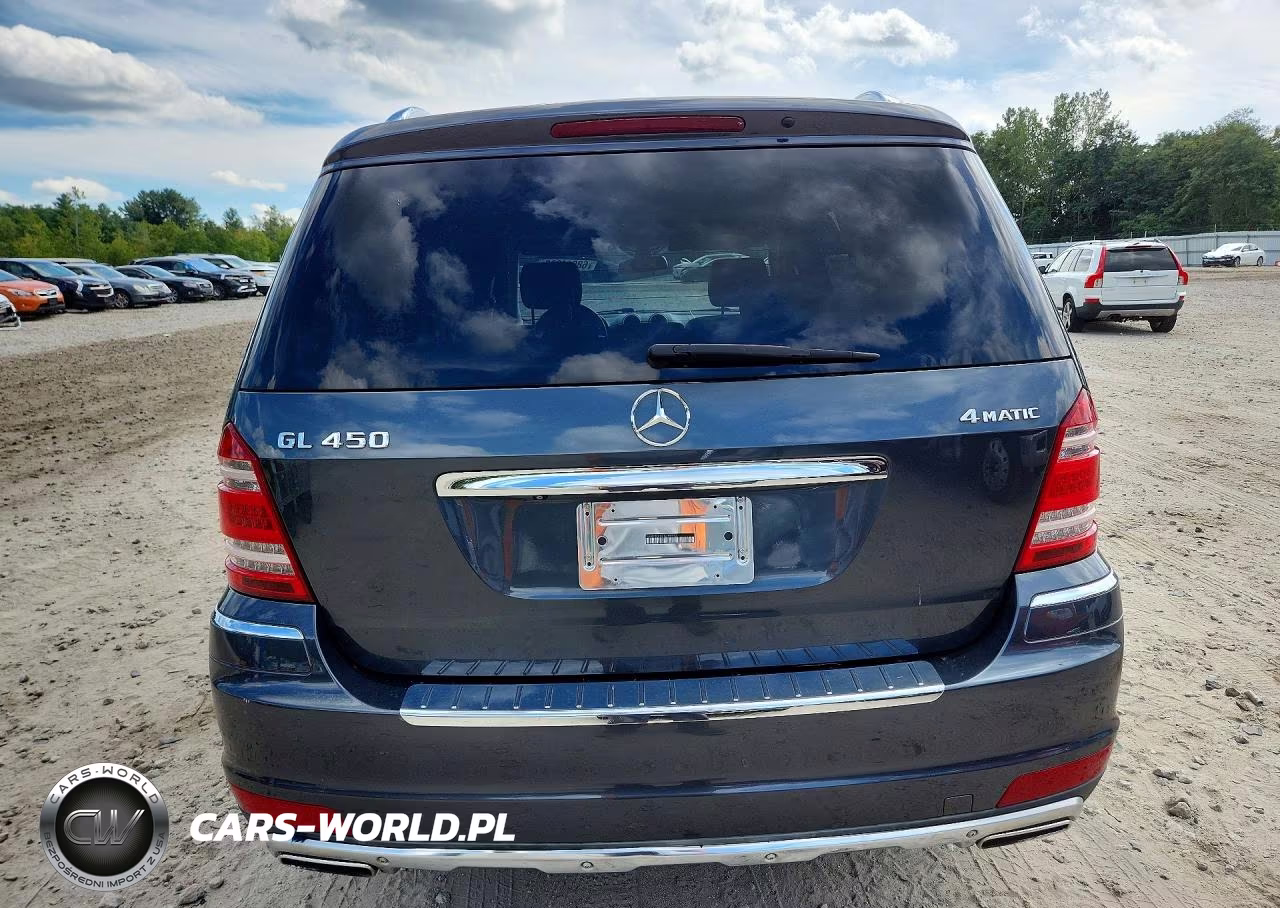 2010 Mercedes-Benz Gl 450 4Matic VIN:4JGBF7BE6AA619198 - 6
