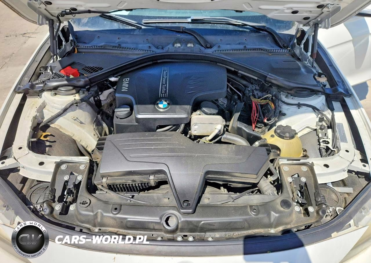 BMW 320 I VIN:WBA3B1C54FK137747 - 11