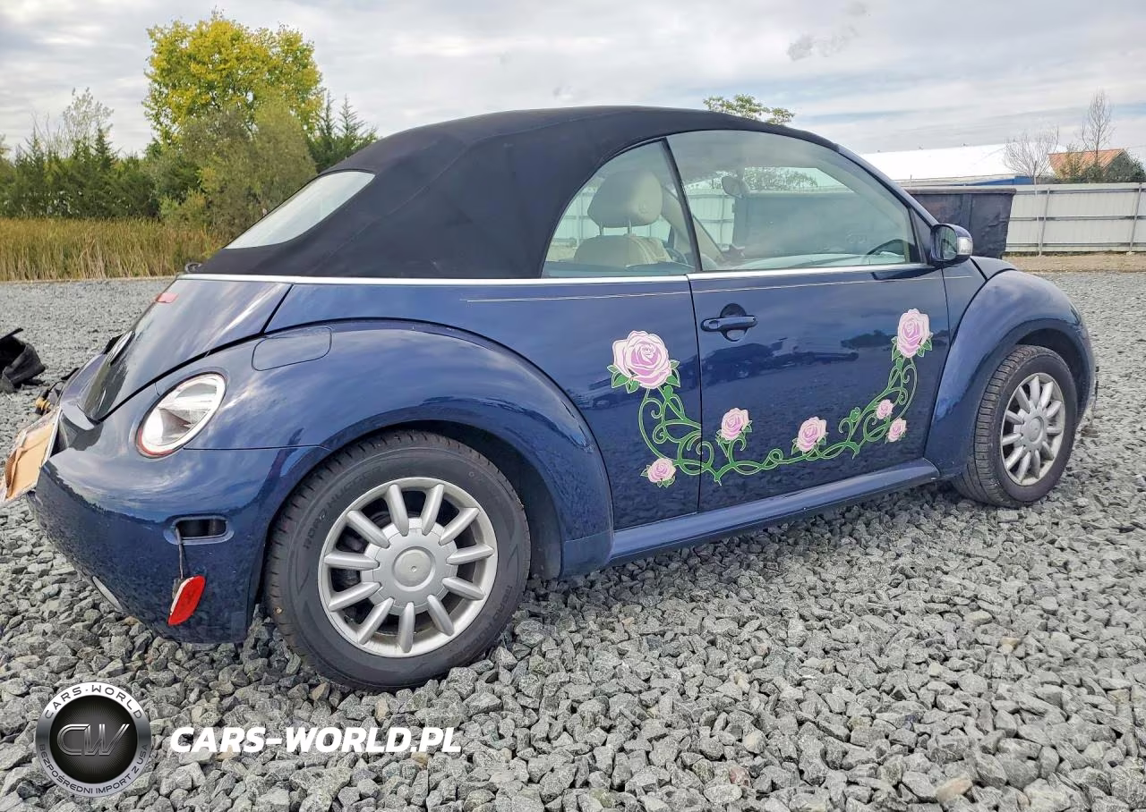 2004 Volkswagen New Beetle Gls VIN:3VWCM31Y04M324038 - 3