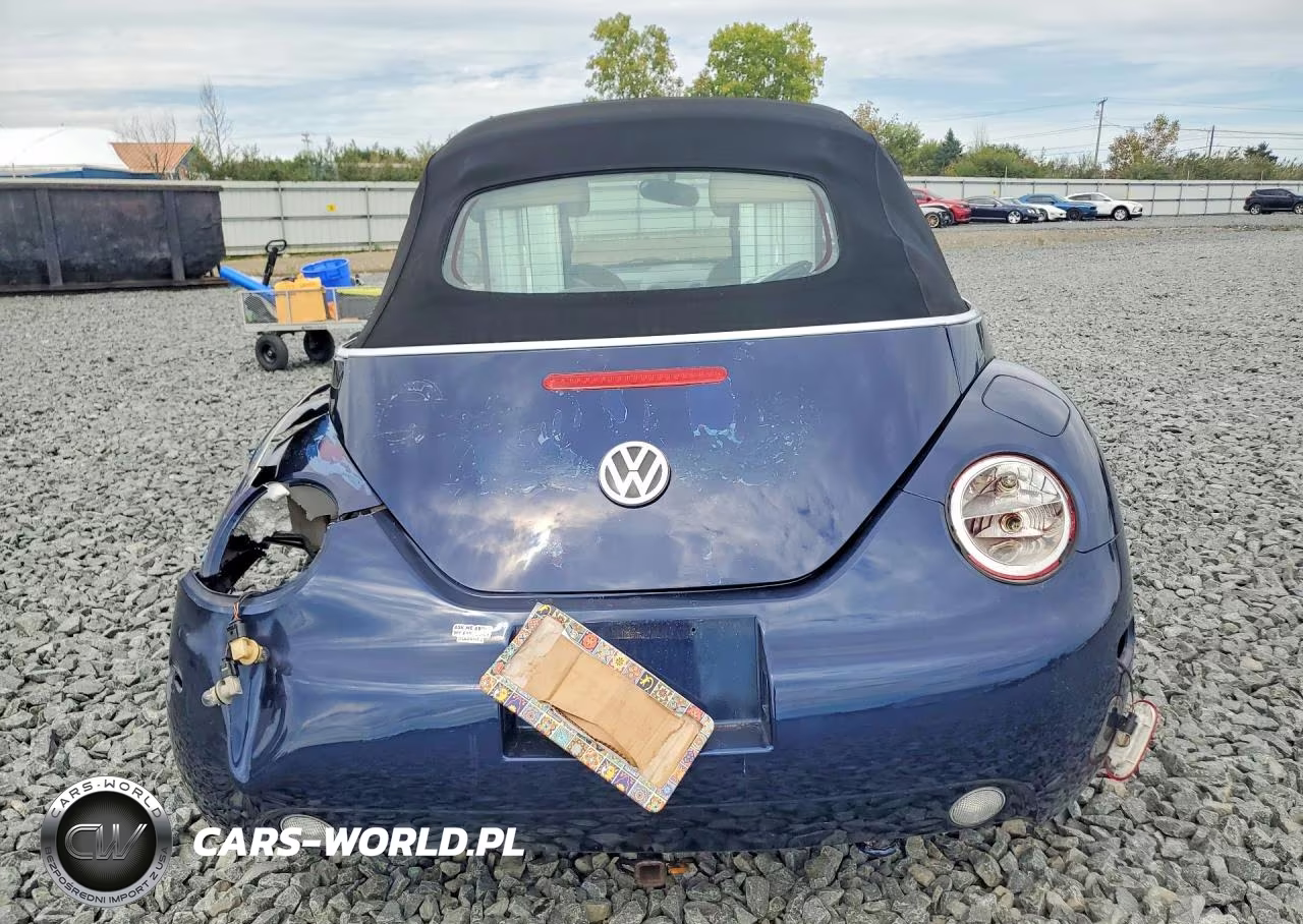 2004 Volkswagen New Beetle Gls VIN:3VWCM31Y04M324038 - 6