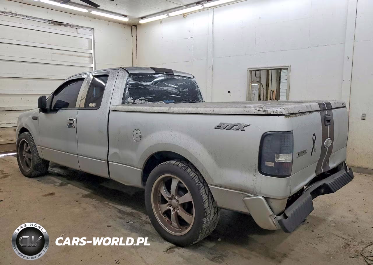 2005 Ford F150 VIN:1FTRX12W35NB19259 - 2