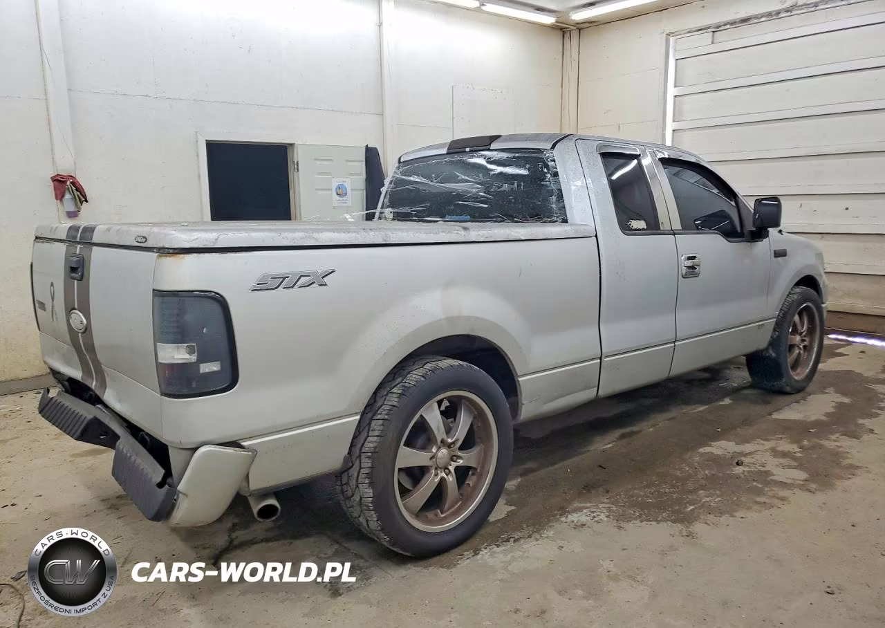 2005 Ford F150 VIN:1FTRX12W35NB19259 - 3