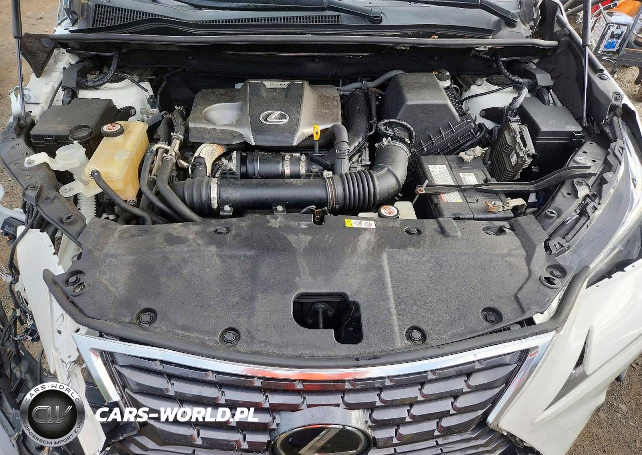 2019 Lexus Nx 300 Base VIN:JTJBARBZ8K2200926 - 12
