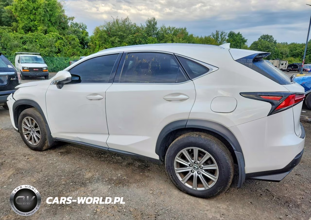 2019 Lexus Nx 300 Base VIN:JTJBARBZ8K2200926 - 2