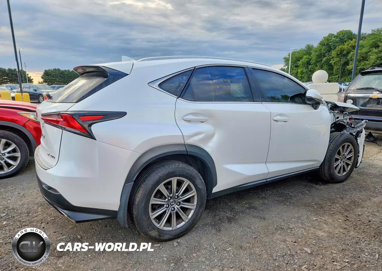 2019 Lexus Nx 300 Base VIN:JTJBARBZ8K2200926 - 3
