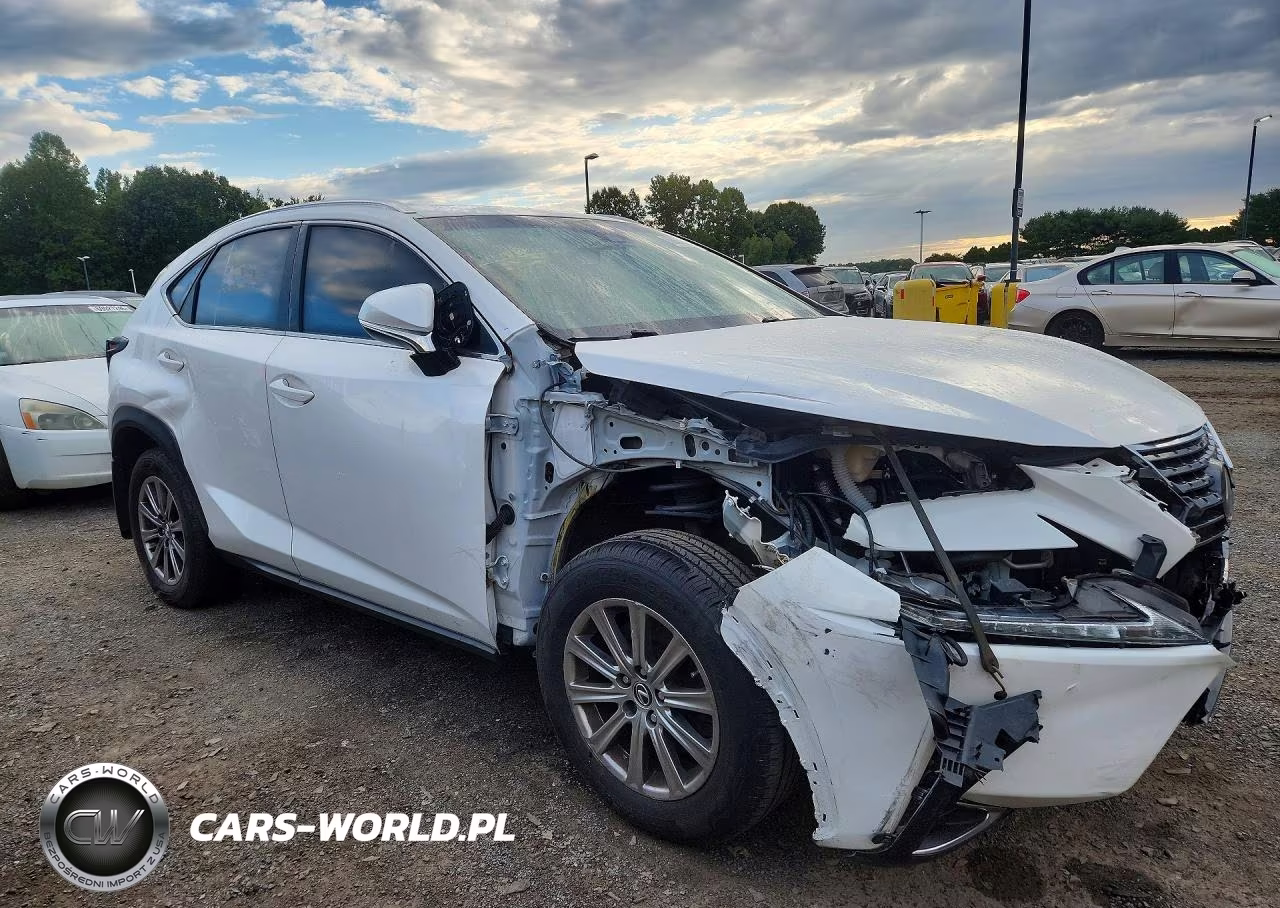 2019 Lexus Nx 300 Base VIN:JTJBARBZ8K2200926 - 4