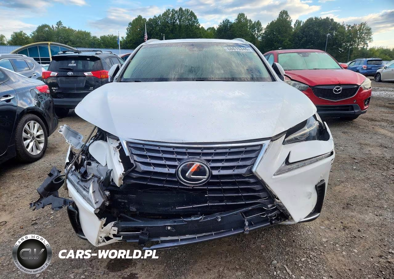2019 Lexus Nx 300 Base VIN:JTJBARBZ8K2200926 - 5