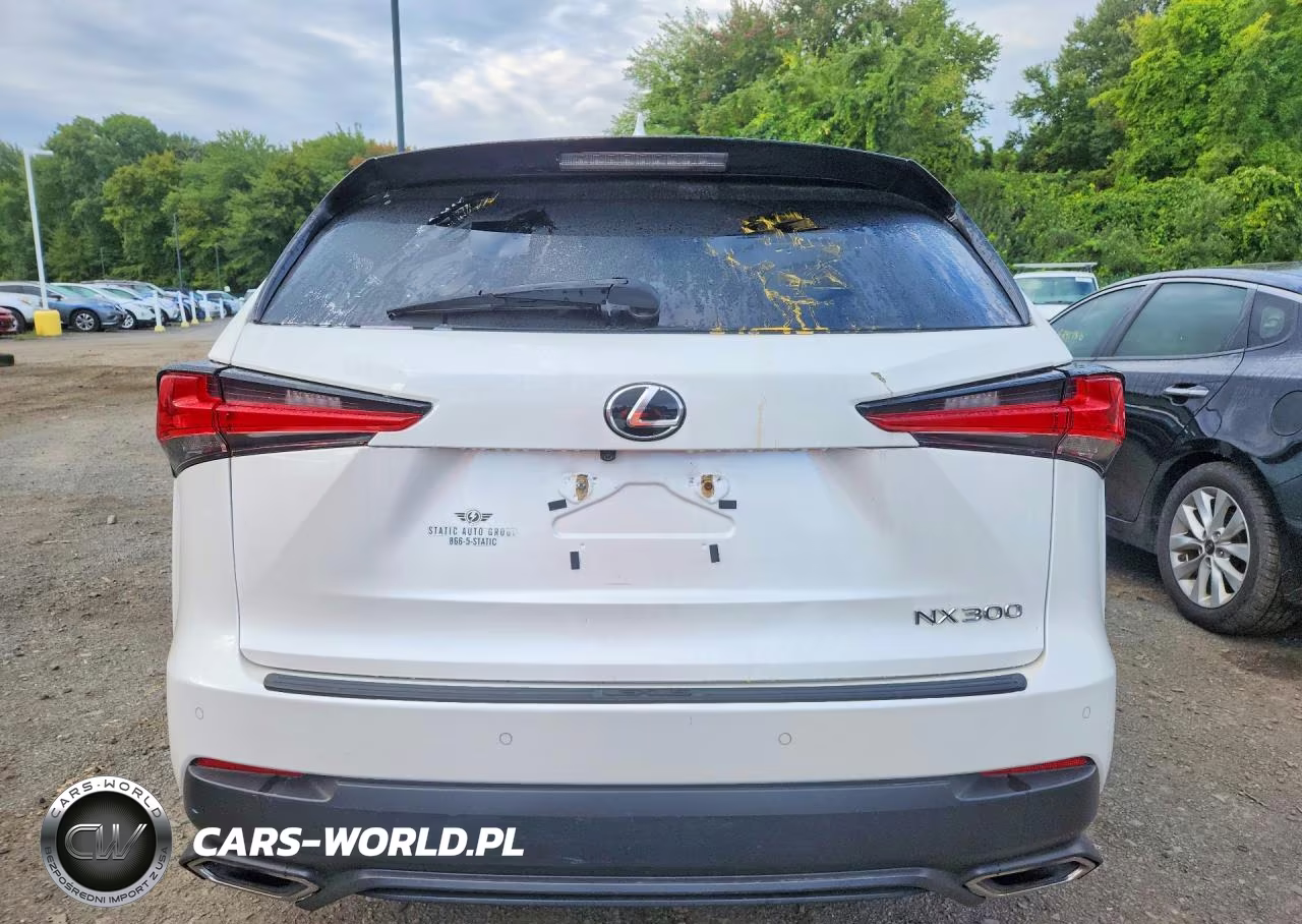 2019 Lexus Nx 300 Base VIN:JTJBARBZ8K2200926 - 6