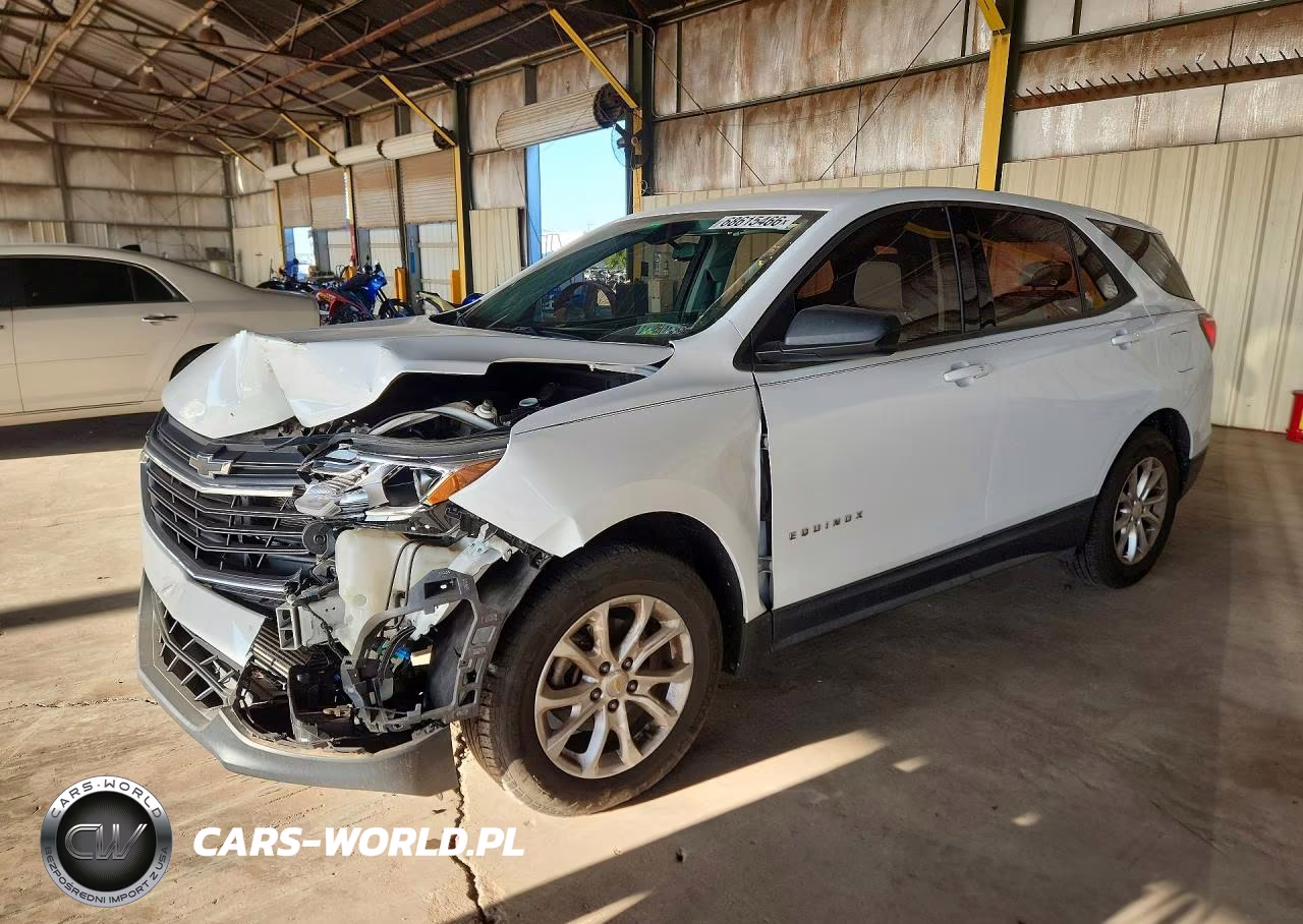2019 Chevrolet Equinox Ls VIN:2GNAXHEV4K6115303 - 1