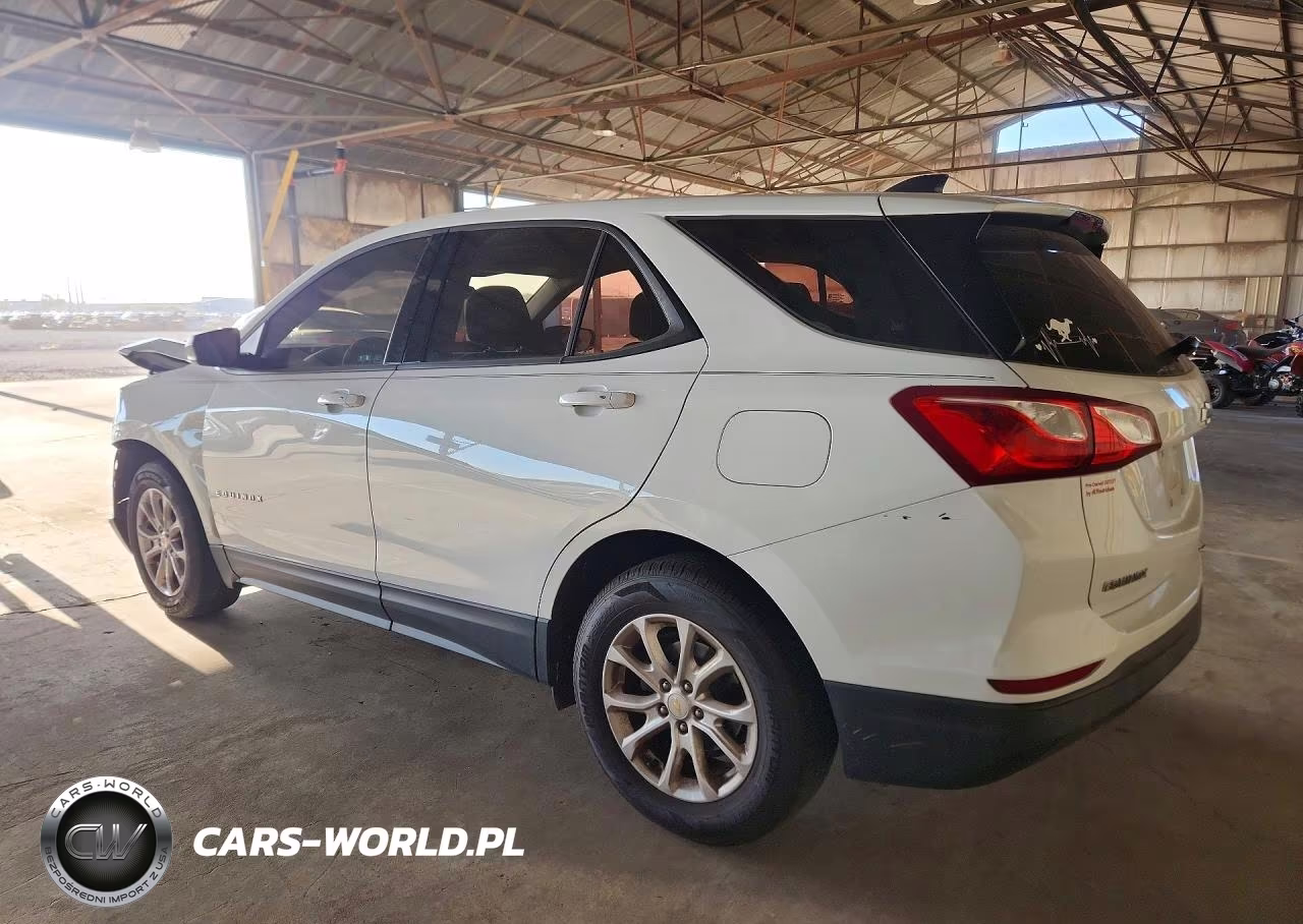 2019 Chevrolet Equinox Ls VIN:2GNAXHEV4K6115303 - 2