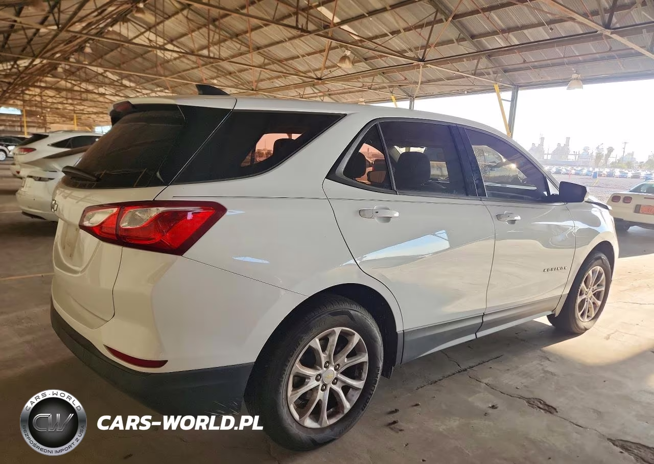 2019 Chevrolet Equinox Ls VIN:2GNAXHEV4K6115303 - 3