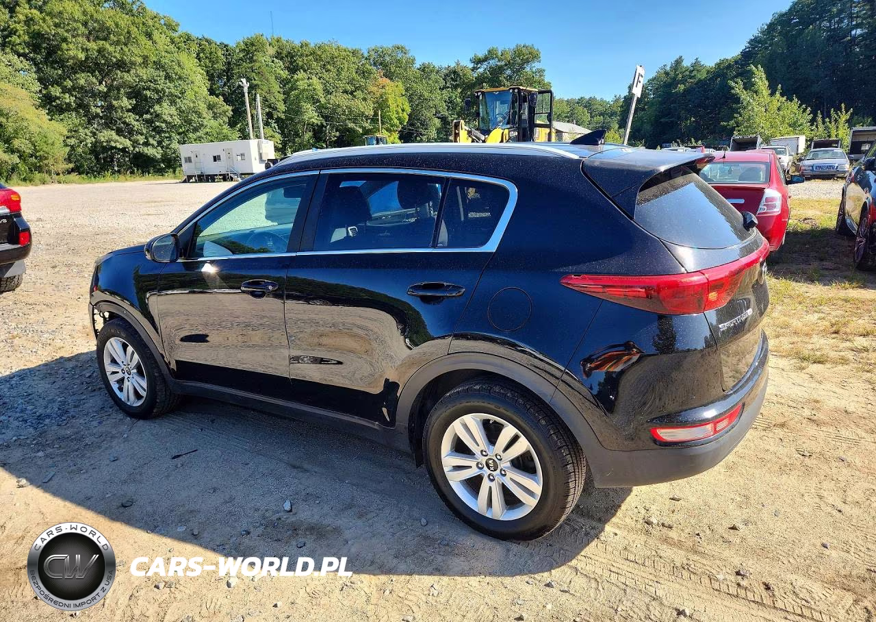 2019 Kia Sportage Lx VIN:KNDPM3AC6K7553906 - 2