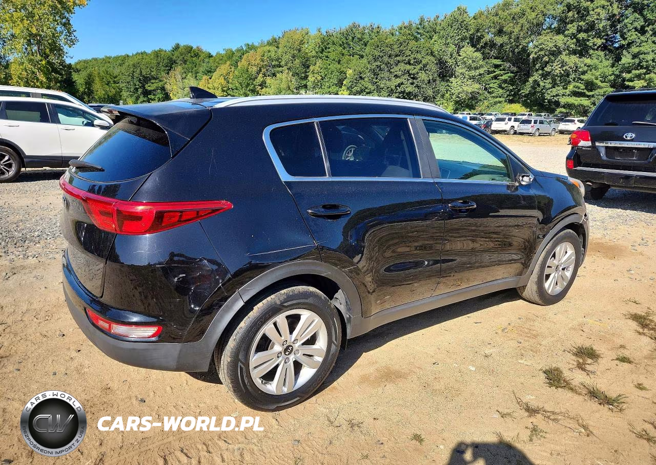 2019 Kia Sportage Lx VIN:KNDPM3AC6K7553906 - 3