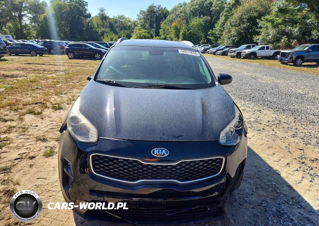 2019 Kia Sportage Lx VIN:KNDPM3AC6K7553906 - 5