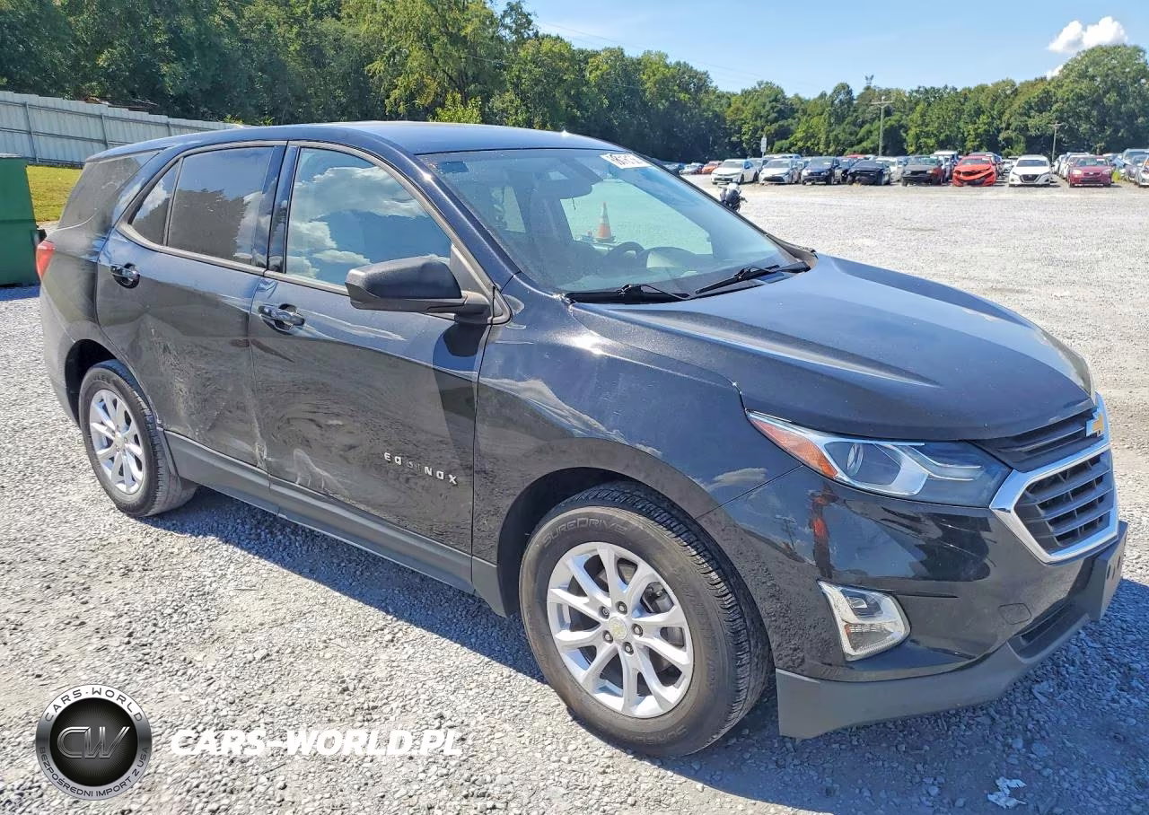 2018 Chevrolet Equinox Ls VIN:3GNAXHEV1JL164811 - 4