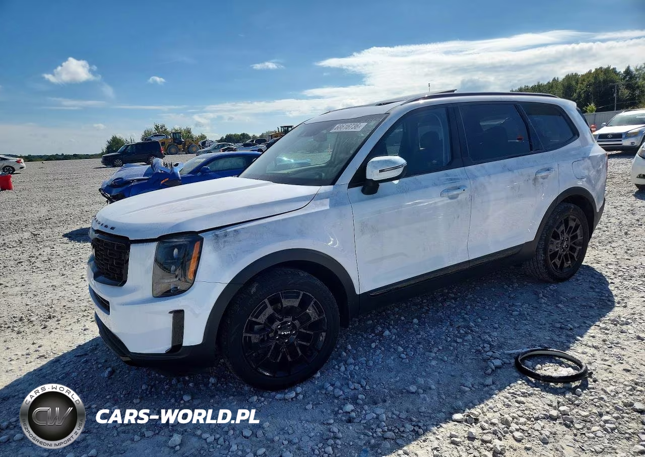 2022 Kia Telluride Ex VIN:5XYP3DHC8NG268050 - 1