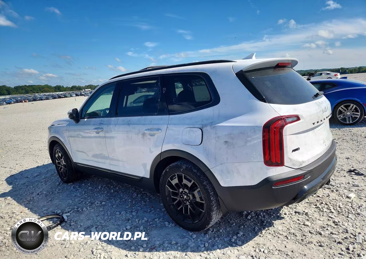 2022 Kia Telluride Ex VIN:5XYP3DHC8NG268050 - 2