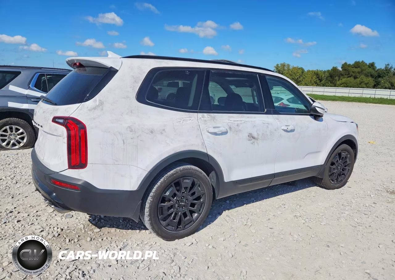 2022 Kia Telluride Ex VIN:5XYP3DHC8NG268050 - 3