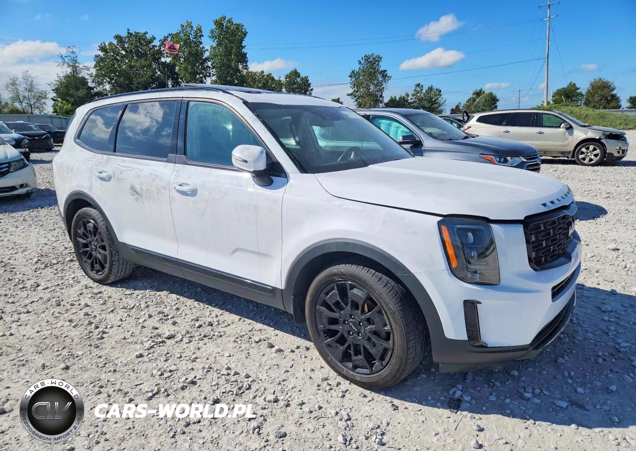 2022 Kia Telluride Ex VIN:5XYP3DHC8NG268050 - 4