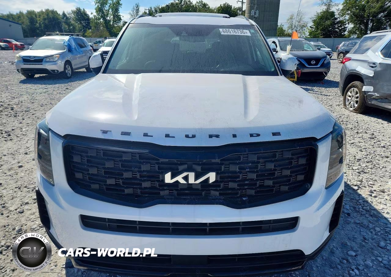 2022 Kia Telluride Ex VIN:5XYP3DHC8NG268050 - 5