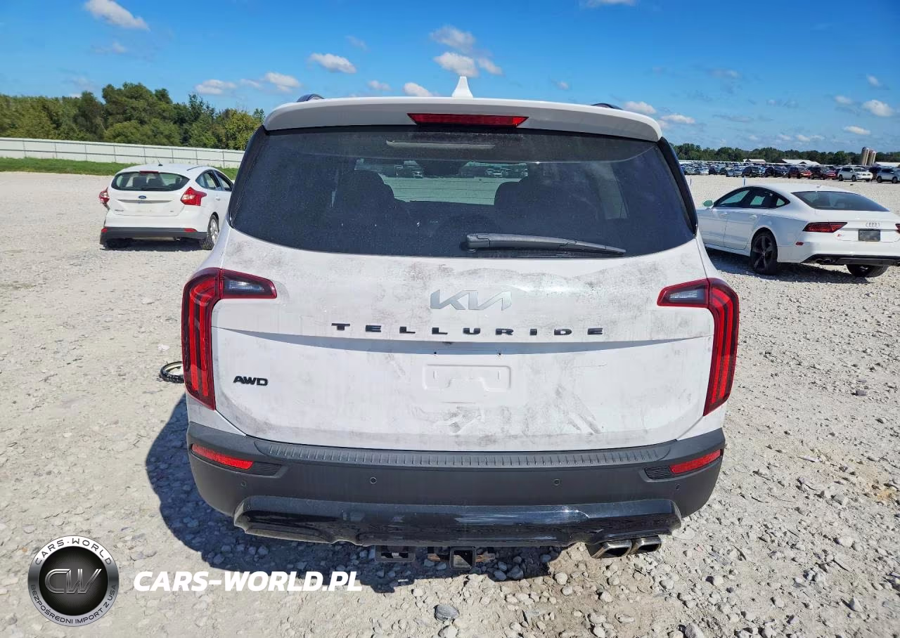 2022 Kia Telluride Ex VIN:5XYP3DHC8NG268050 - 6
