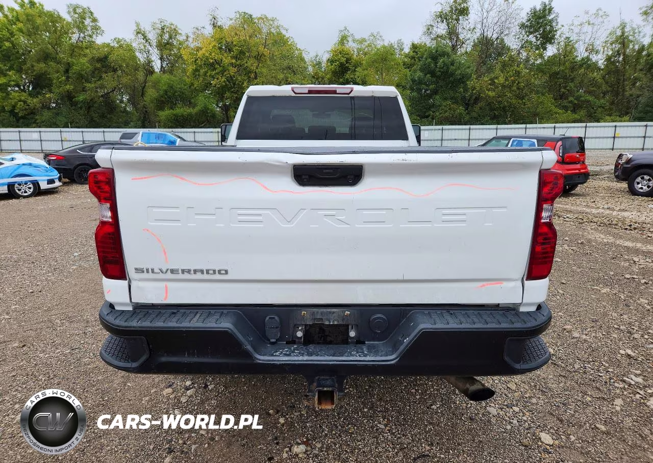 2020 Chevrolet Silverado C2500 Heavy Duty VIN:1GC2WLE70LF284889 - 6