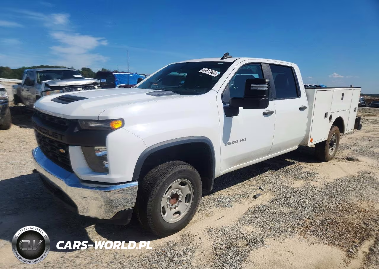 2020 Chevrolet Silverado VIN:1GB1WLE71LF302512 - 1