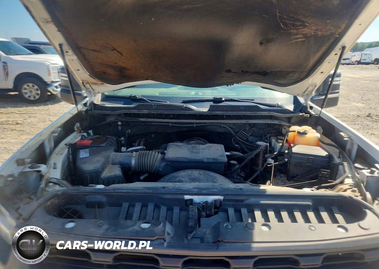 2020 Chevrolet Silverado VIN:1GB1WLE71LF302512 - 11