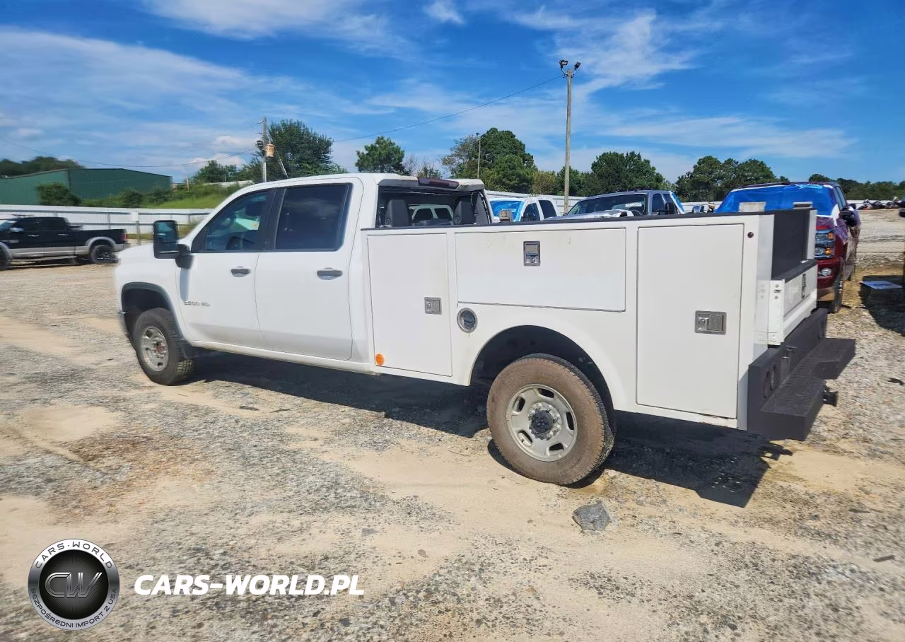 2020 Chevrolet Silverado VIN:1GB1WLE71LF302512 - 2