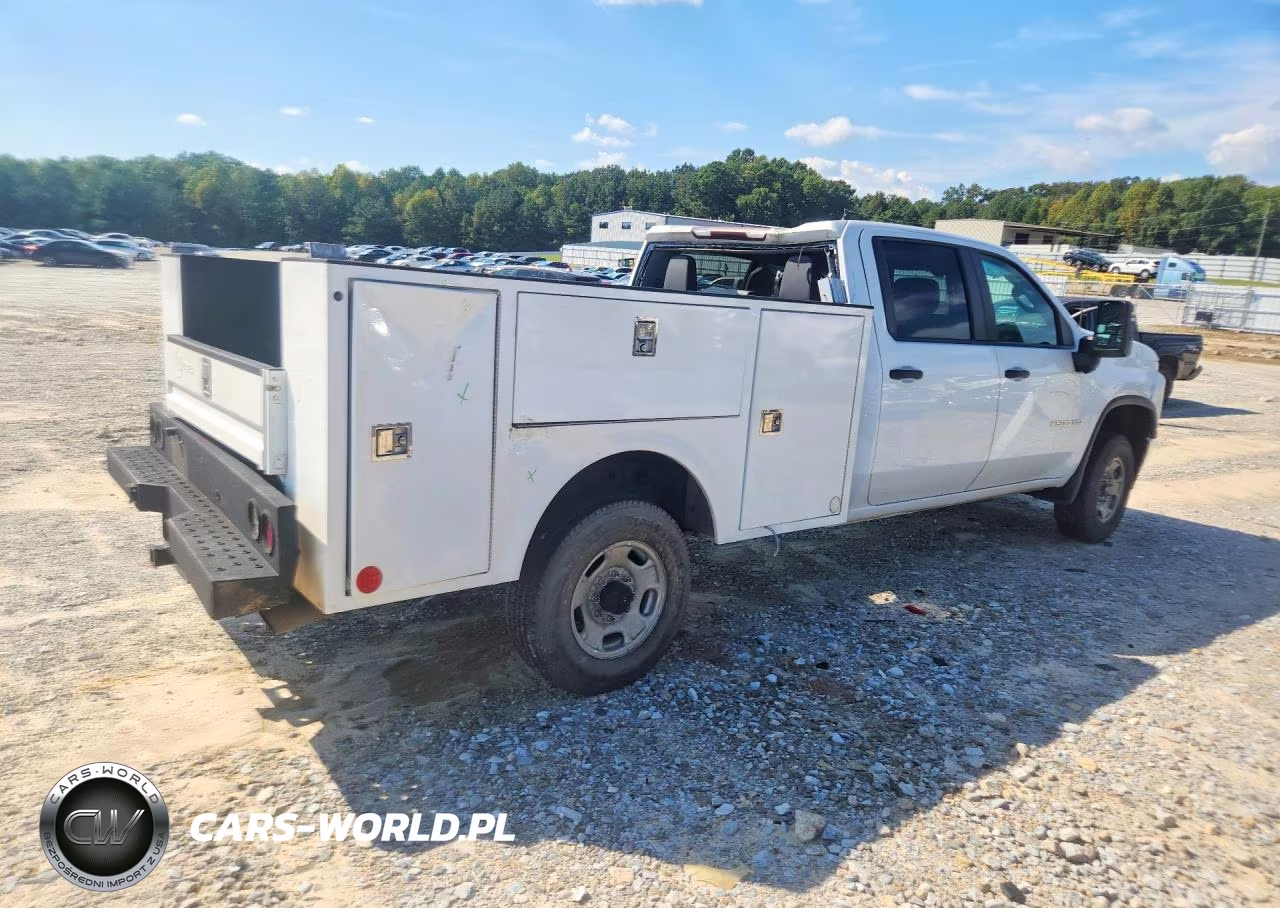 2020 Chevrolet Silverado VIN:1GB1WLE71LF302512 - 3