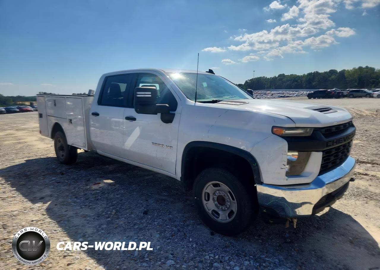 2020 Chevrolet Silverado VIN:1GB1WLE71LF302512 - 4