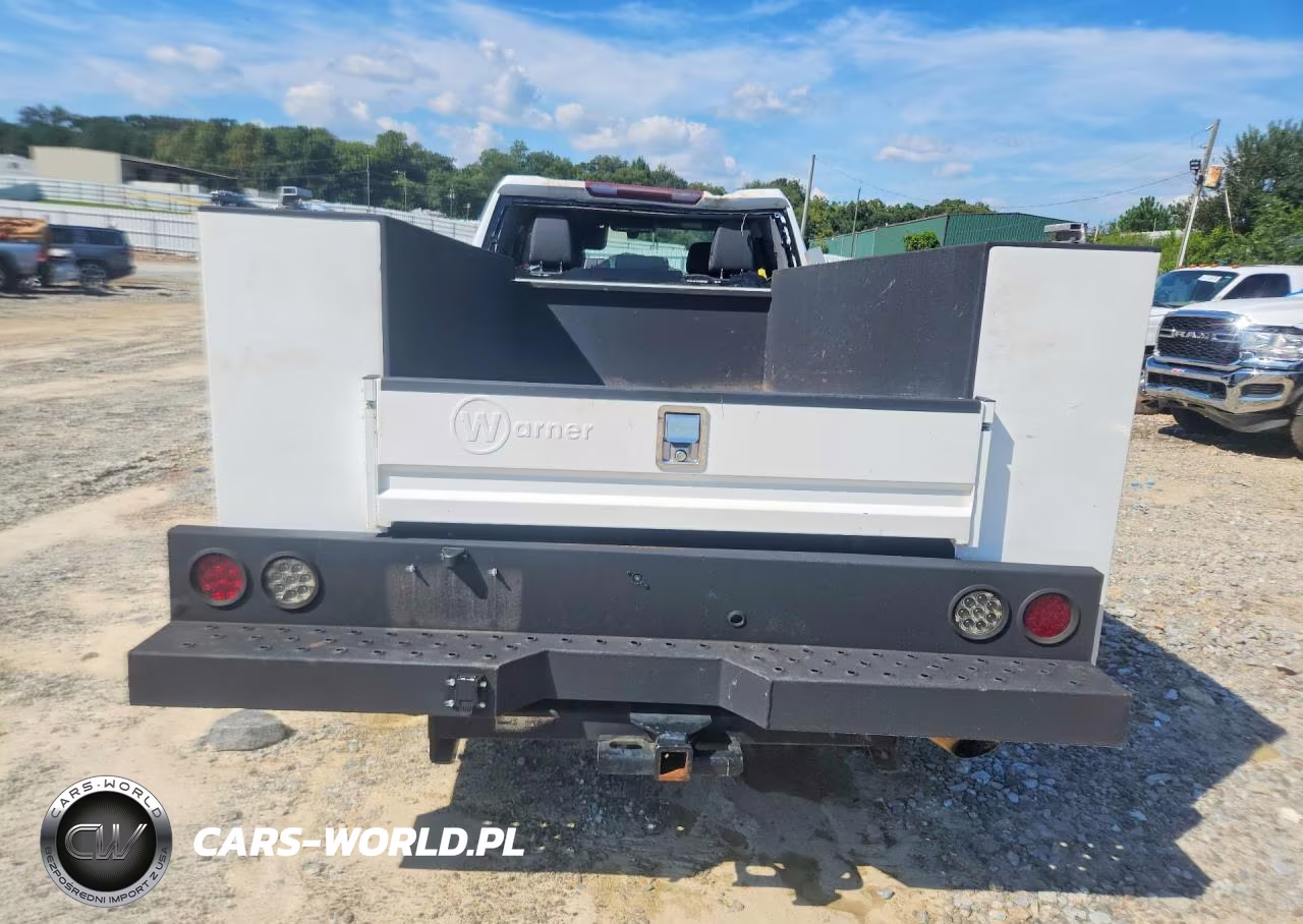 2020 Chevrolet Silverado VIN:1GB1WLE71LF302512 - 6